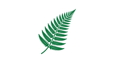 Green fern leaf on white background © iffa