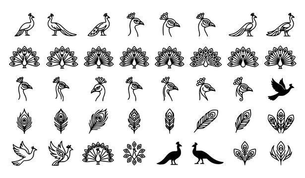Bird Nest Feather and Nature Outline Icon Collection Featuring Flying Birds Eggs and Botanical Elements