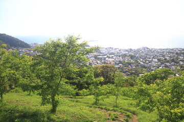仙元山 © yossan.my