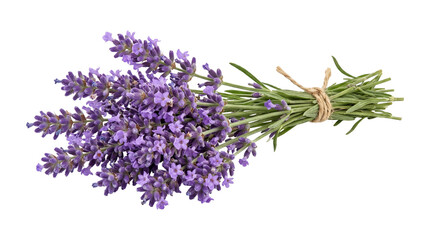 Bouquet of fresh lavender flowers tied with jute twine string isolated on transparent background floral element. © Isolated_png