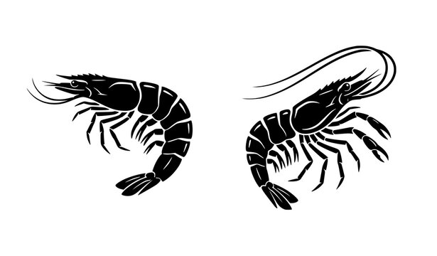 Two Shrimp Black Silhouette Vector Illustration
