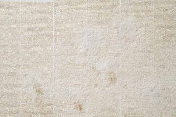 Fototapeta premium Antique Newspaper Texture: Aged Yellowed Page with Tiny Text, Wear Marks, and Soft Matte Finish for Vintage Designs