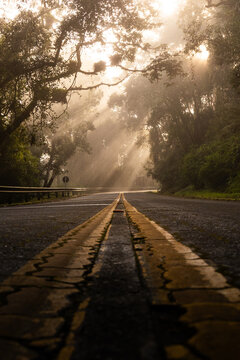 N&eacute;voa com raios de sol na estrada do Parque Nacional Serra da Boca&iacute;na - Caminho de Liga&ccedil;&atilde;o Paraty, Rio de Janeiro - Cunha, S&atilde;o Paulo