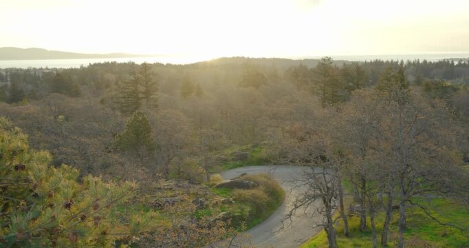 Winding asphalt road curved through forest hills at sunset