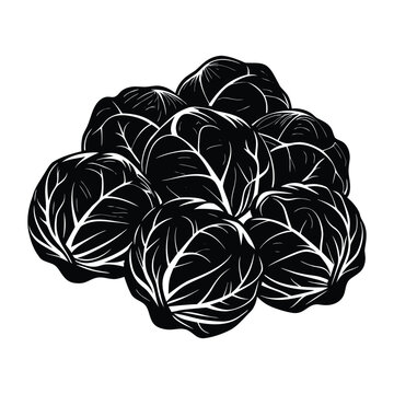 Detailed brussels sprouts silhouette bundle isolated on transparent background healthy green vegetable vector art
