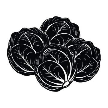 Organic brussels sprouts vegetable silhouette design with natural farm fresh ingredient concept vector illustration