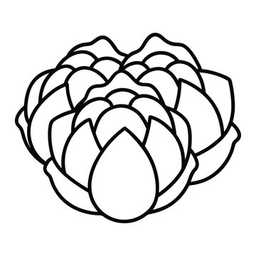 Brussels Sprouts Vegetable Outline Vector Illustration Isolated Farm Fresh Organic Ingredient Line Art Design