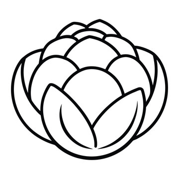 Minimal Brussels Sprouts Outline Illustration Natural Green Vegetable Contour Drawing for Healthy Food Design