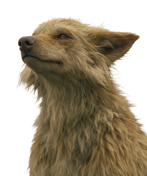 Portrait of a mythical wolf-like fantasy creature with golden fur 