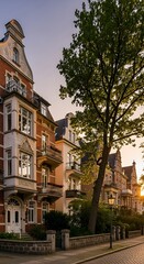 Fototapeta premium A serene street lined with ornate multi-story buildings and a tree