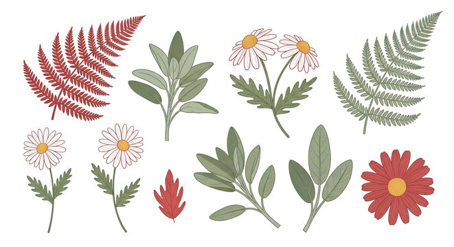 A versatile collection of detailed botanical illustrations, showcasing a charming variety of hand-drawn ferns, sage leaves, and delicate daisies in earthy and fresh tones
