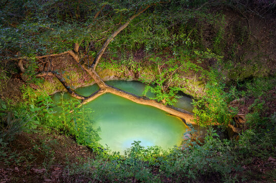 Hagburg Sink Illuminated at Night, Lafayette Blue Spring Cave System, Florida
