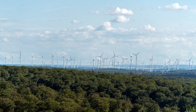 Blick auf Wald aus Windr&auml;dern im Paderborner Land