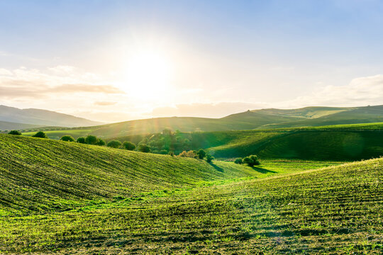green field in countryside farm at sunset in evening light. beautiful spring landscape in hills. grassy field and hill. rural scenery