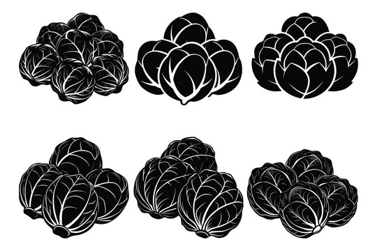 Realistic brussels sprouts set organic vegetable vector illustration pack