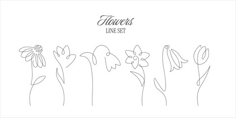Naklejka premium Minimal one line flower collection with tulip, daisy, bellflower and wildflowers. Continuous botanical outline illustrations isolated on white background.