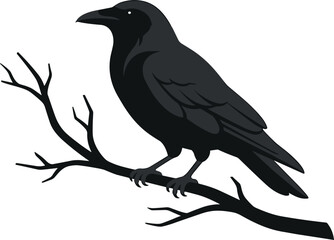 Fototapeta premium Black raven bird perched on a bare branch silhouette, spooky gothic dark crow vector illustration graphic asset