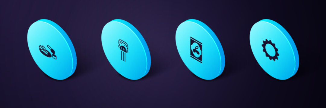Set Isometric Sun, Olives in can, Peineta and Churros and chocolate icon. Vector