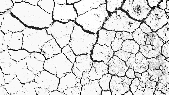 Cracked earth texture with irregular fissures a monochrome pattern on a white background arid breakage caliche chalky cleavage