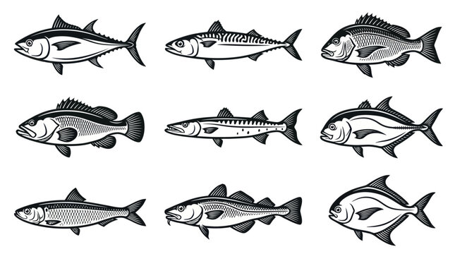 A monochrome flat vector icon set of 9 detailed ocean fish species including tuna, mackerel, snapper, grouper, barracuda, trevally, sardine, cod, and pomfret, realistic fish anatomy, detailed fins