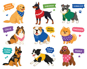Fototapeta premium Various distinct dog breeds wearing stylish sweaters and cute autumn outfits.