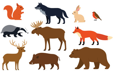 Obraz premium Wild mammals and birds native to a northern woodland habitat.