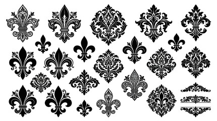 Obraz premium Fleur de Lis Ornate Damask Patterns & Ornaments Black White