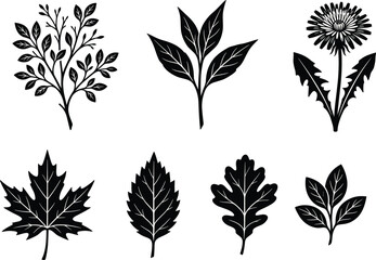 Obraz premium Botanical Leaf and Plant Silhouette Collection with Floral Nature Vector Set
