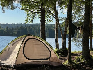 camping in the forest © Linn