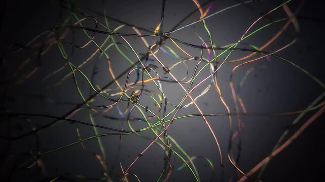 Microscopic view of synthetic fibers and microplastics under polarized light 