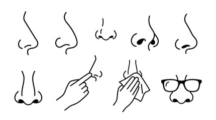 Obraz premium Collection of diverse nose outlines and styles, including side profiles, front views, and actions like touching or cleaning, presented in a simple