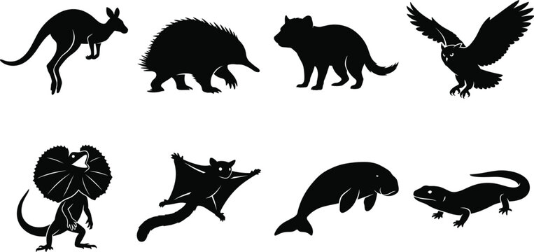Australian animals silhouette icon set featuring kangaroo echidna tasmanian devil sugar glider and frilled lizard vectors