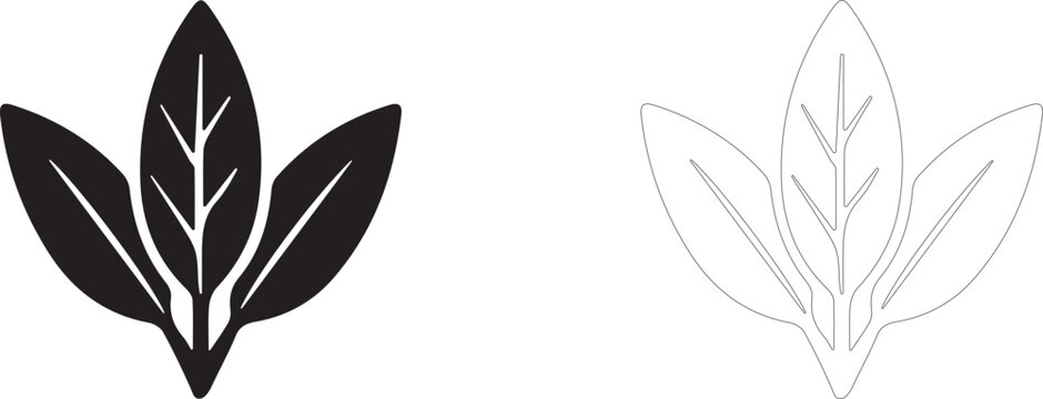 Bay leaf Line Art icon, dried herbal condiment symbol, soup seasoning and culinary botany.