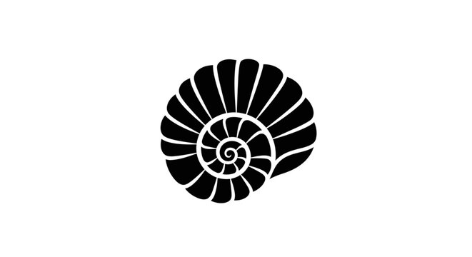 Minimalist ammonite shell line art on white background.
