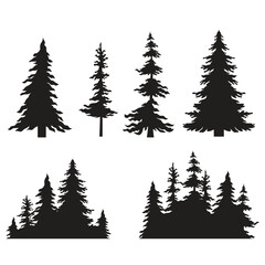 Fototapeta premium Black Silhouettes of Coniferous Pine and Fir Forest Trees Set on White Background for Nature Design Elements