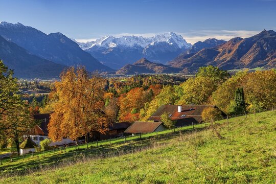 Autumn landscape near Hagen with Zugspitze group 2962m in the Wetterstein mountains, Murnau, Das Blaue Land, Upper Bavaria, Bavaria, Germany