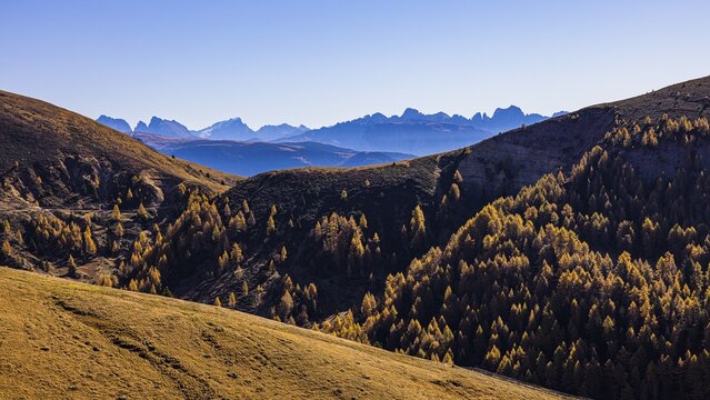 Mountainous autumn landscape, behind it the mountain scenery of the Dolomites, skiing and hiking area Merano 2000, near Merano, South Tyrol, Italy