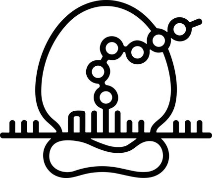 Ribosome Translating mRNA: Protein Synthesis, Biotechnology, Molecular Biology