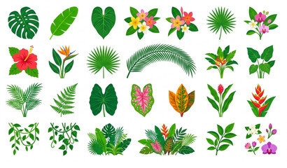 Exotic Tropical Botanical Leaf and Flower Vector Set Cartoon Jungle Plant Collection Isolated on White Background © Mdmasud