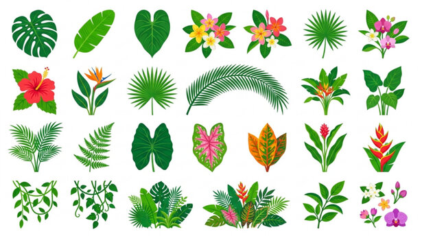 Exotic Tropical Botanical Leaf and Flower Vector Set Cartoon Jungle Plant Collection Isolated on White Background