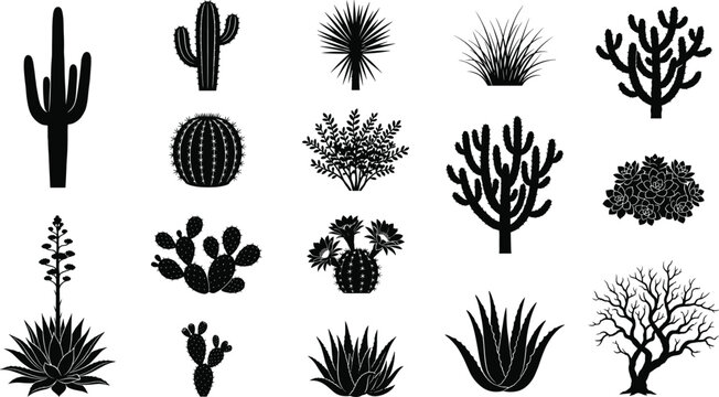 Desert Plant Silhouette Collection with Cactus Agave Yucca Prickly Pear Barrel and Succulent Icons for Botanical Graphic Design Projects