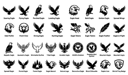 Fototapeta premium Eagle Silhouette and Bird of Prey Vector Icon Collection