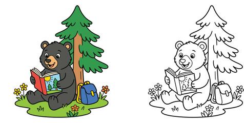 Cute cartoon bear cub reading a book under a pine tree coloring page and colored illustration set, forest animal with backpack vector design for kids activity © MSTA