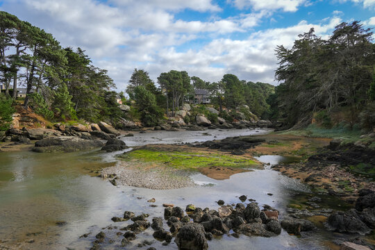 Forest lined tidal creek near granite houses in Tregastel, France