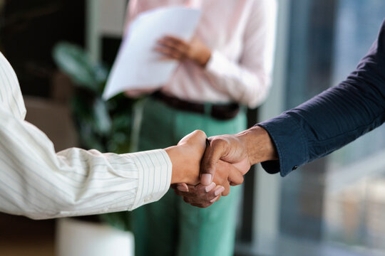 Business handshake seals the deal.