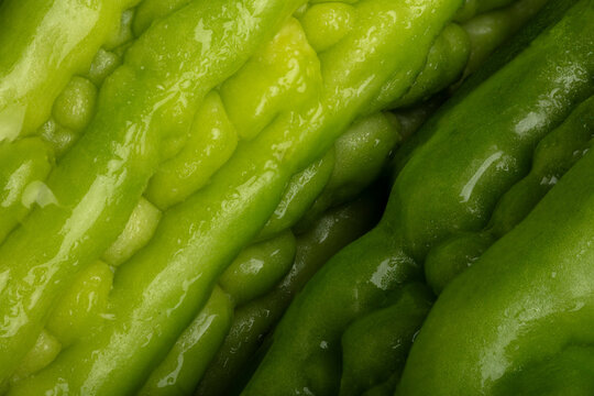Bitter gourd on a green background