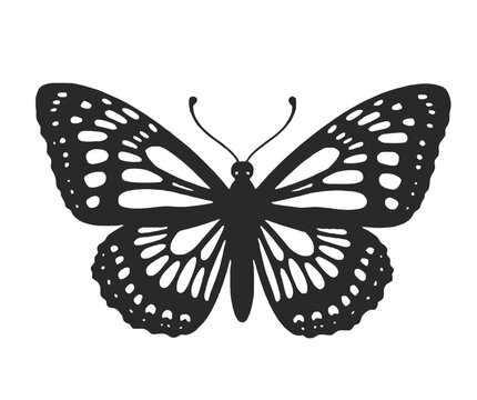 Monarch Butterfly Silhouette Vector Graphic