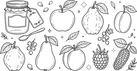 Fresh autumn fruits and jam jar line icon vector set featuring apple pear peach plum berry and mulberry © vector design 