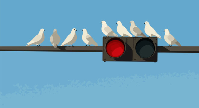 Vector pigeons on traffic light, urban birds illustration, city wildlife scene, red stop light signal
