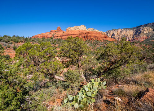 View at Midgley Bridge on Rt 89A in Oak Creek Canyon in Arizona USA